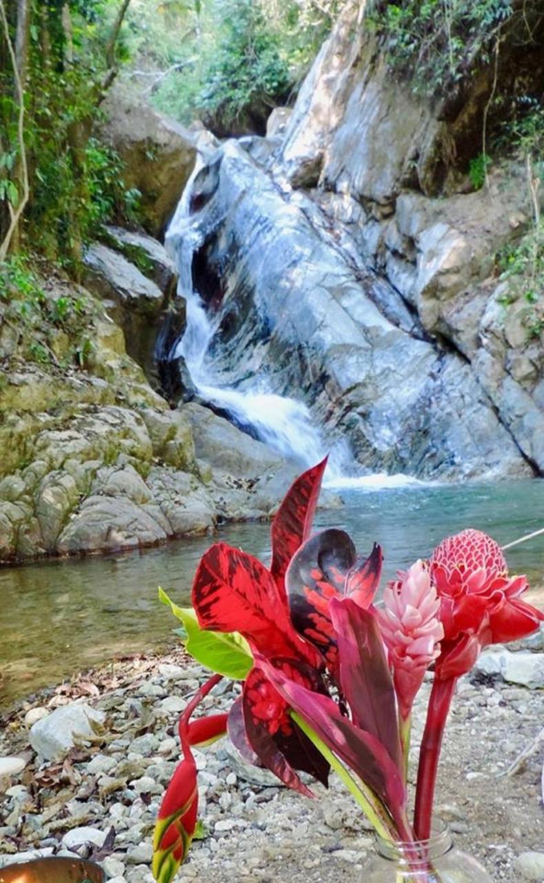 Glamping Finca Margaritas Pluma Hidalgo Exterior foto